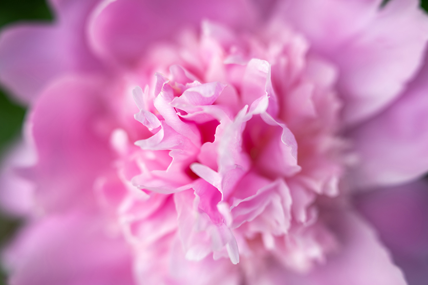 70-180mm F2.8 A065 作例 イアン・プラント 風景 