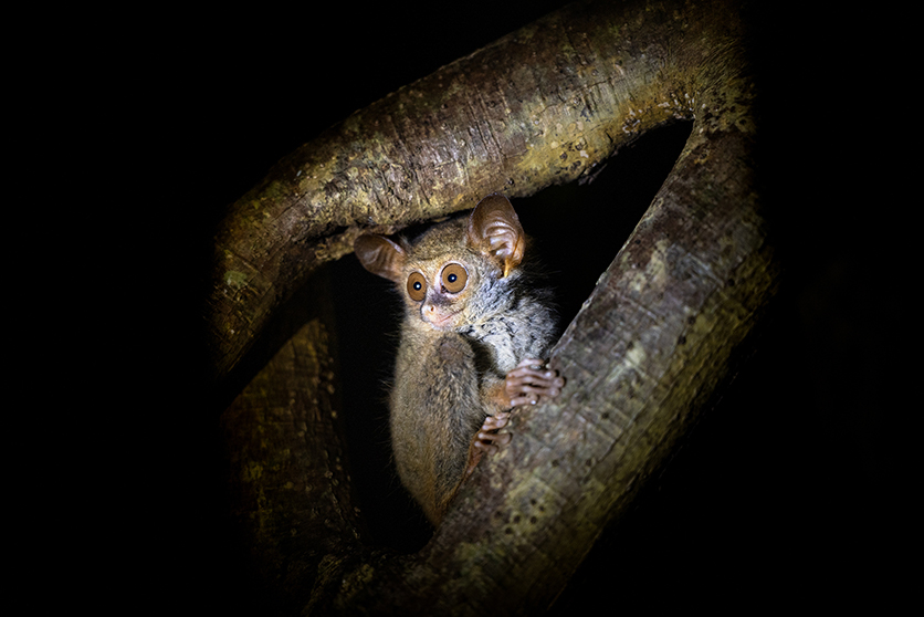 70-180mm F2.8 A065 作例 イアン・プラント 風景 