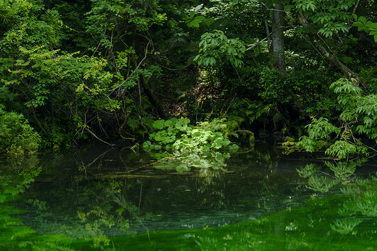 Sample　 (Model A057)