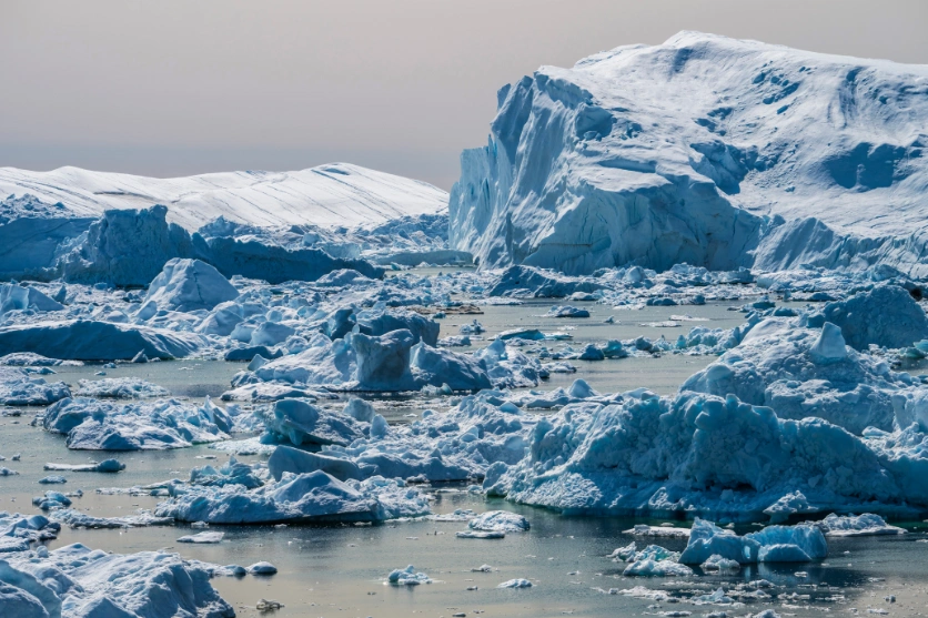 a065z_magnification_03_en