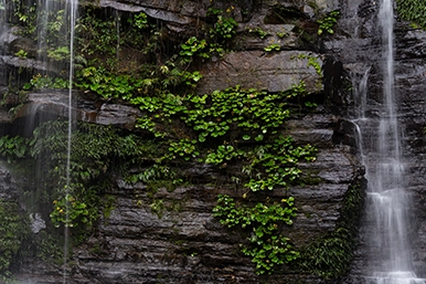 a069_magnification_01_en