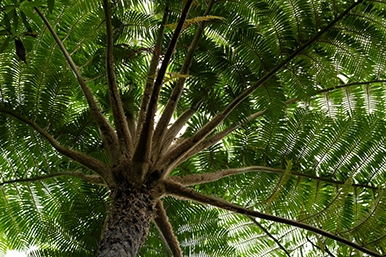 a069_magnification_02_en