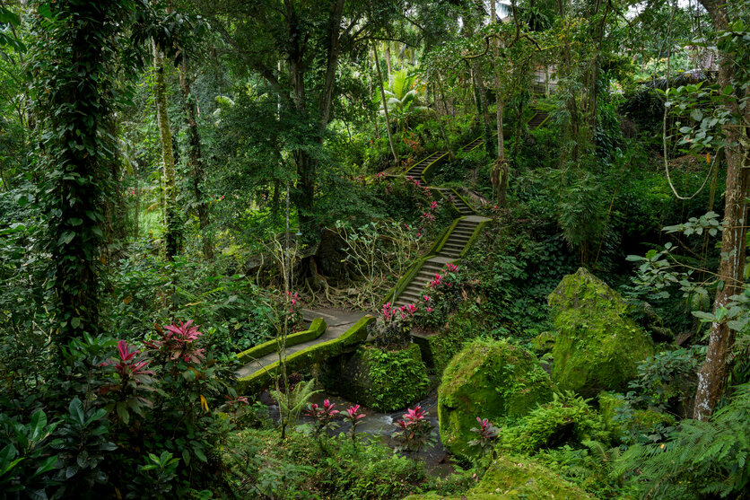 a075_magnification_02_en