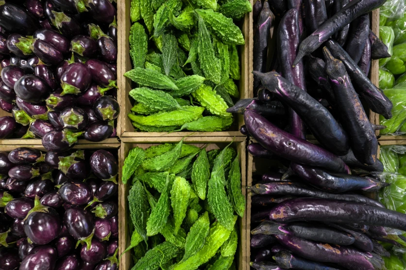 a064e_magnification_01_en