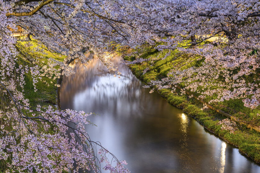 風景写真家 別所 隆弘氏がタムロン28-75mm F2.8 G2 (Model A063)ニコン Z マウント用で巡る全国各地桜の名所