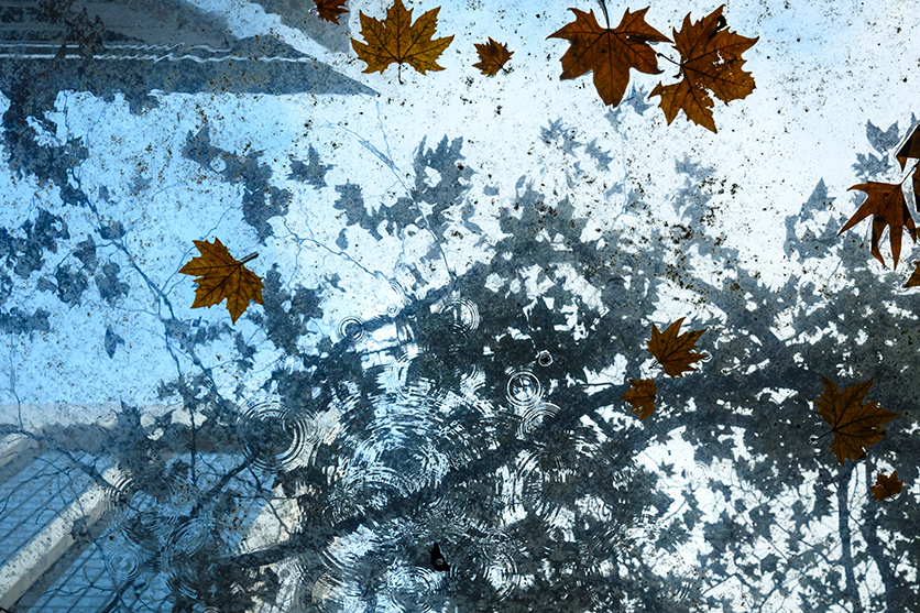 写真家 松尾 純氏がタムロン28-75mm F2.8 G2 (Model A063)ニコン Z マウント用で撮る、オーストラリアの旅