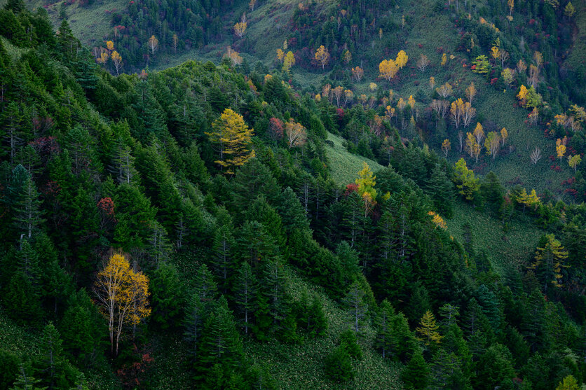 a078_magnification_03_jp