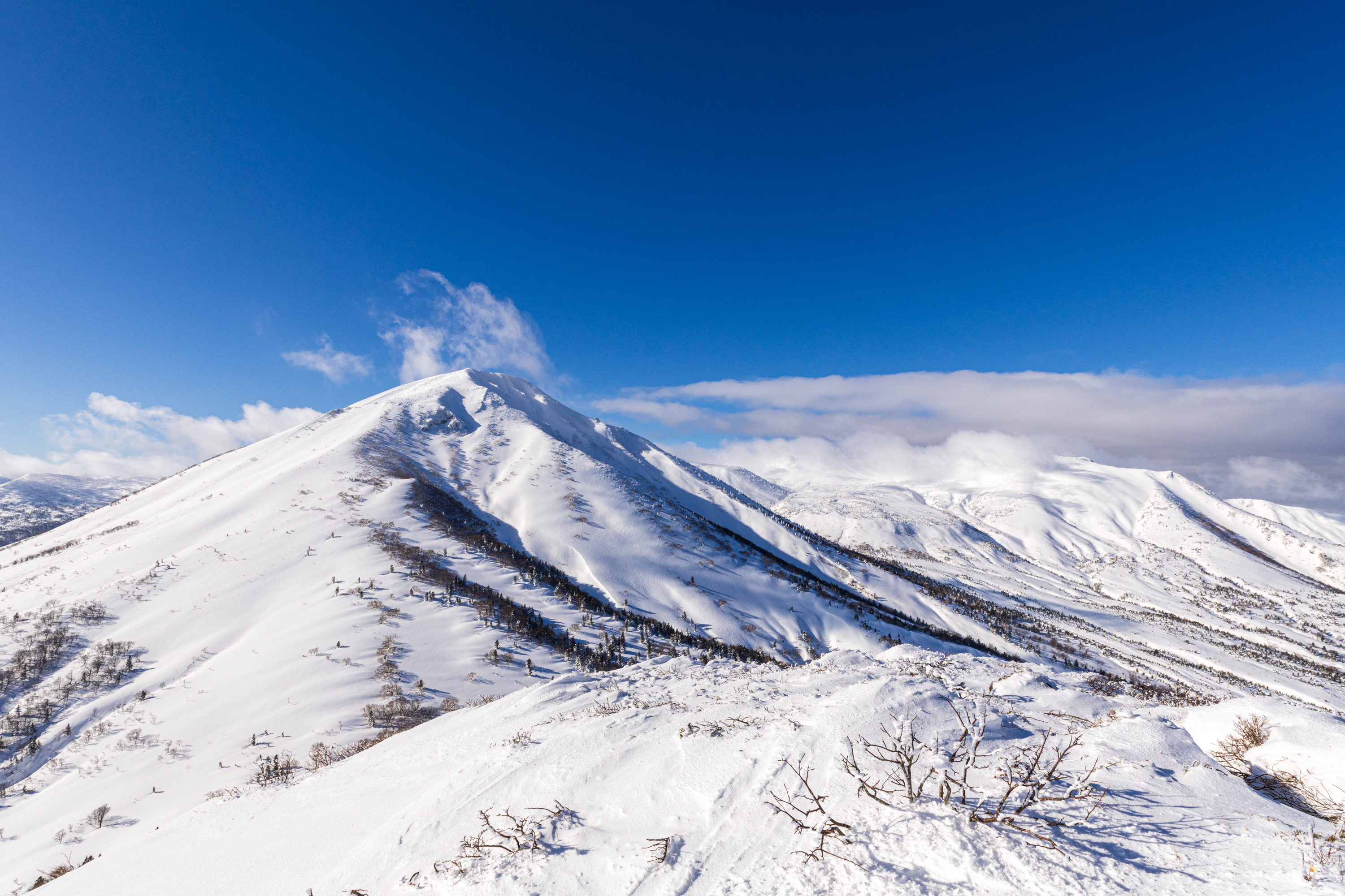 11-20mm F/2.8 Di III-A RXD (Model B060)製品レビュー