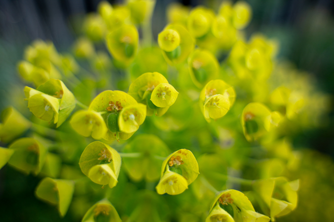 タムロン 20-40mm F/2.8 Di III VXD (Model A062)