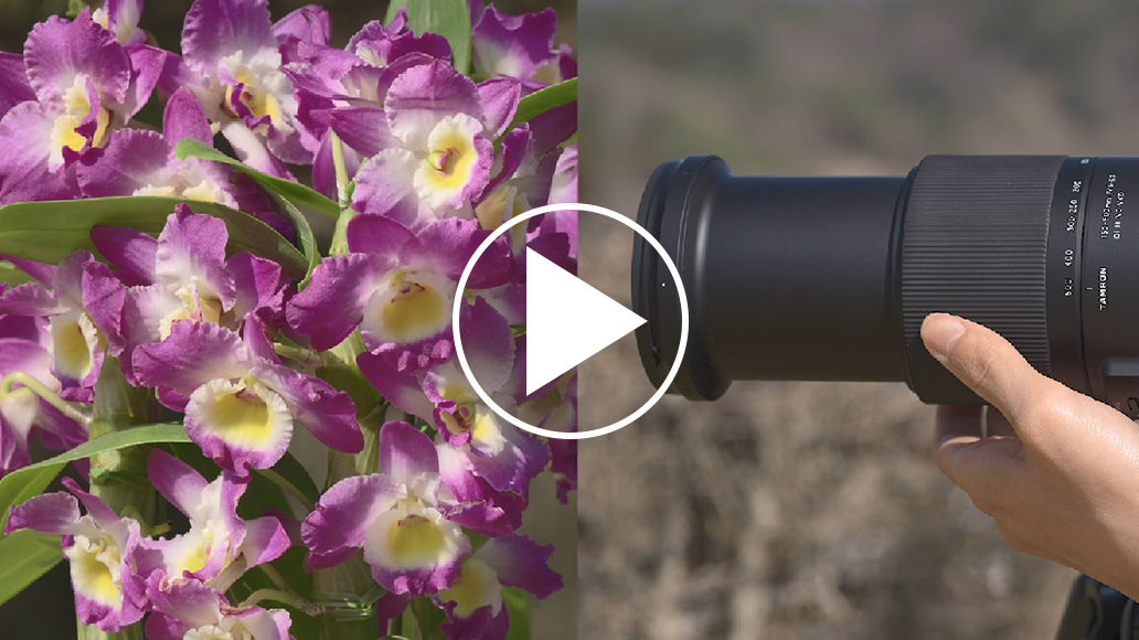 タムロン 50-400mm F/4.5-6.3 Di Ⅲ VC VXD (Model A067)