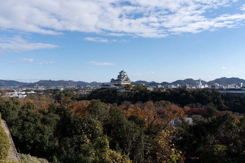 焦点距離28mm