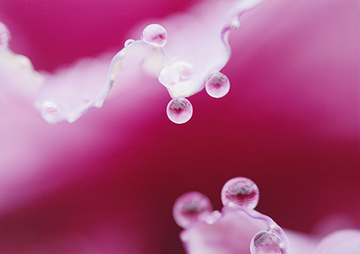 「水の小惑星」加来　洋一