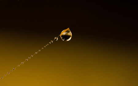 「cool」和嶋　歩 様