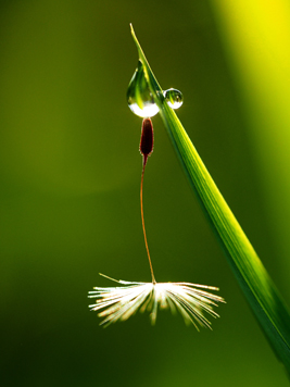 「ひと休み」末吉 里志 様