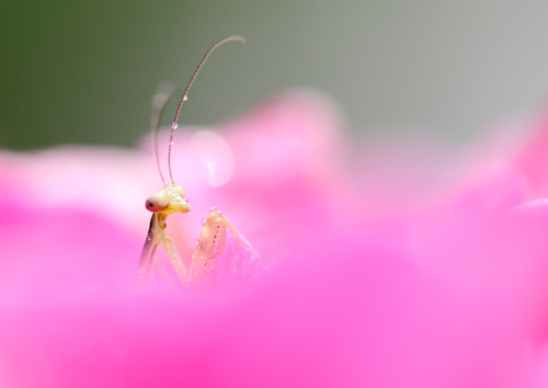 「めざめ」酒井　博文 様