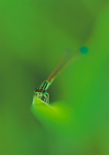 「暫しの休息」赤荻　丈夫 様