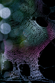 「鎖帷子」田村　祐二 様