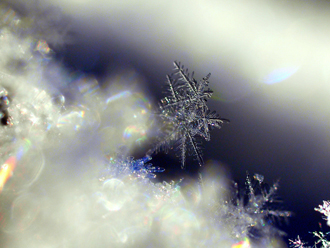 「厳寒の彩」中嶋　ユキ子 様