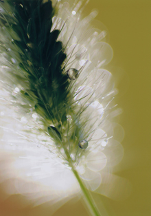 「Spark☆」小林　真智子 様