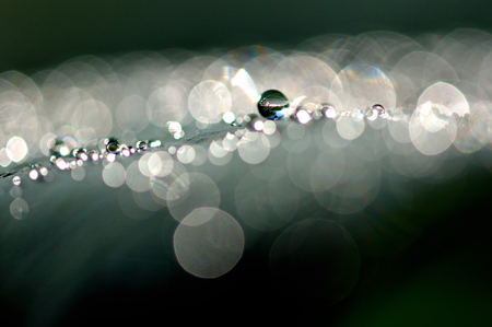 「モノクロームな光景」吉村　基市 様