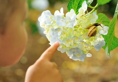 「あっ見っけた！」五百蔵　二朗 様