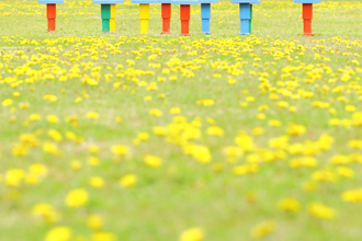 「Hop Step Spring」杉崎　喜敬 様