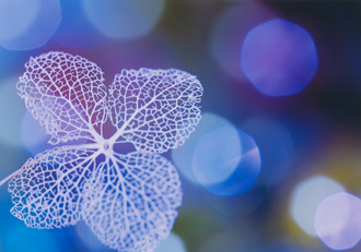 「さわやかな風」田中　幸男 様