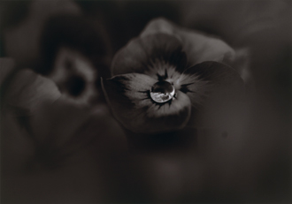 「水墨」中田　千翔 様