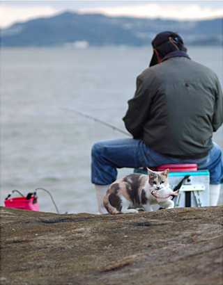 「しめしめ」中家　英夫 様
