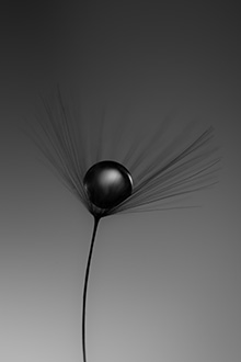 「静寂」井上　雄輔 様