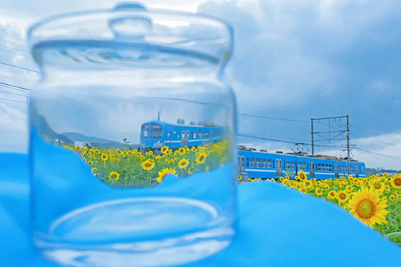 青い電車とひまわりの魔法