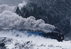 「雪の中を力強く」 小野 将弥