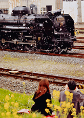 「桜吹雪の舞う中で」 中田 聖河