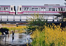「春が来た」 酒井 陽一郎