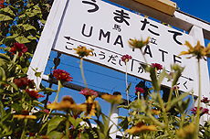 「ようこそ!」 木村 優花