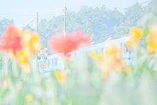 「カラフル」 奥田 智美 様