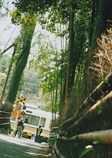 「京小路」 川那辺 大樹 様
