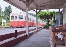 「お出迎え」 藤野 稜大 様