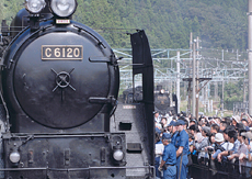 「夢の共演!」 金子 香花 様