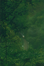 「緑のフレームをのぞくと」 氷上 俊平 様