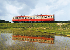 「えっ!列車が2つ?」 星野 雄飛 様