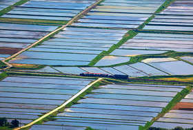 「千枚田を行く」 堀江 高志 様