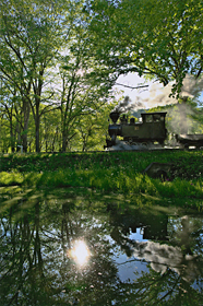 「新緑の森を往く」 山本 学 様