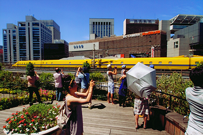 「真夏の千両役者」 金子 秀樹 様