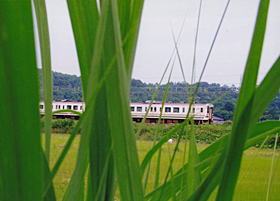 「虫の目線」 須賀 一樹 様