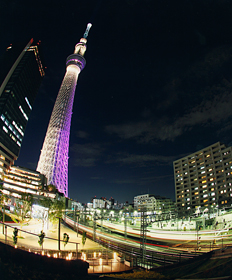 「光の共演」 岡田 光平 様