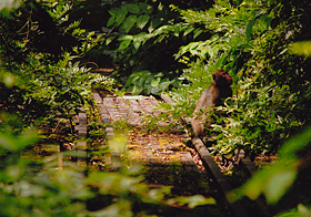 「待ちぼうけ」 井口 光 様