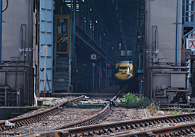 「守護神の休息」 小野口 太一 様