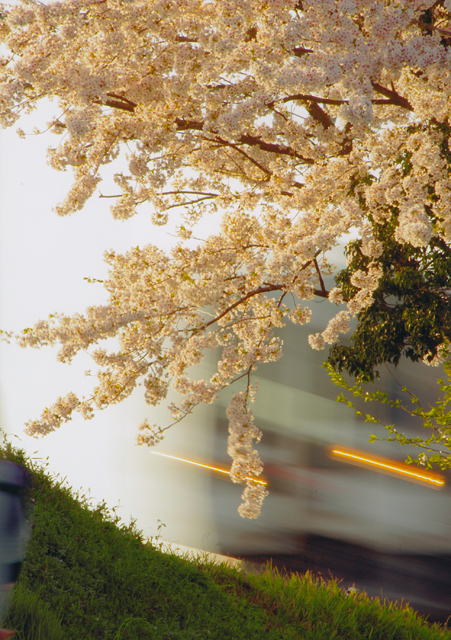 「太陽が沈む前に」 遠藤 嘉 様