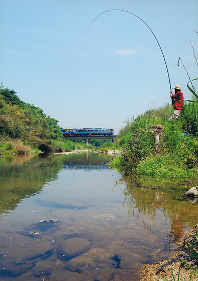 「薄暑」 六車 正竹 様
